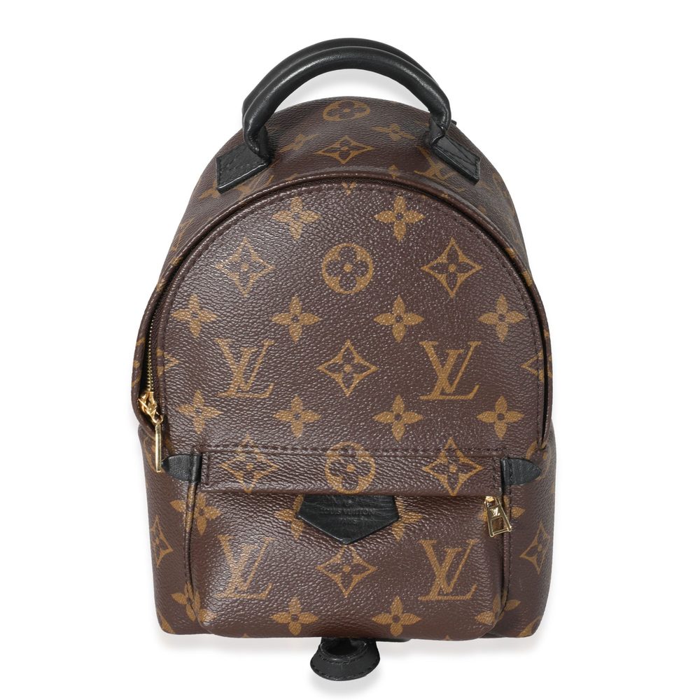 Louis Vuitton Monogram Canvas Palm Springs Mini Backpack